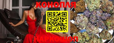 гашик Будённовск