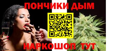гашик Будённовск