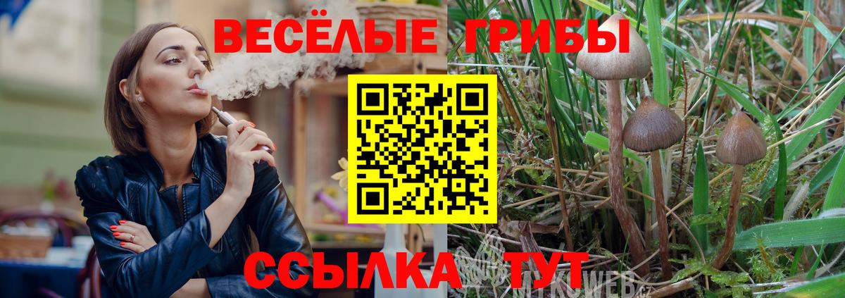 Псилоцибиновые грибы Psilocybe  Вход с VPN  Советская Гавань 