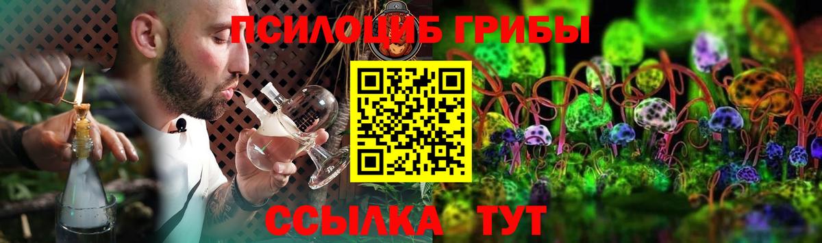 Псилоцибиновые грибы Cubensis Советская Гавань